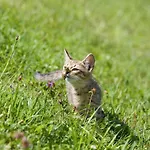 Winzerhof Strablegg * Großklein