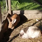 Winzerhof Strablegg Großklein