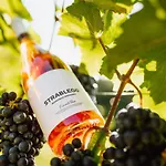 Winzerhof Strablegg 农家乐