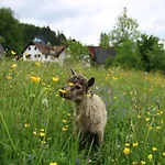 Farm stay Winzerhof Strablegg