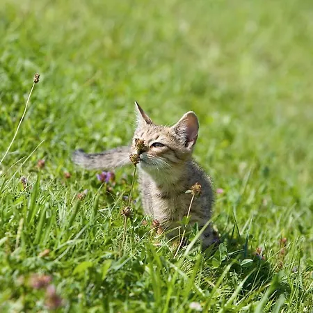 Winzerhof Strablegg * Großklein