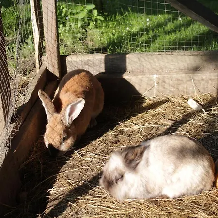 Winzerhof Strablegg Großklein