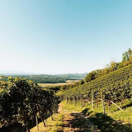 Bauernhof Winzerhof Strablegg Großklein