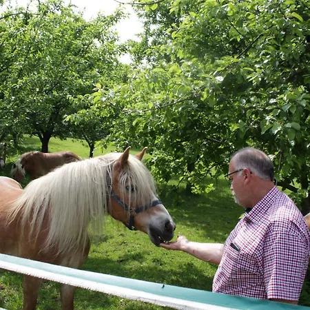 Winzerhof Strablegg Bauernhof *