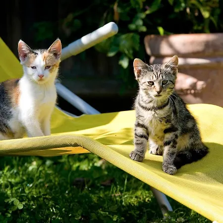 팜스테이 Winzerhof Strablegg *