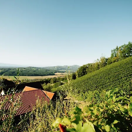 Winzerhof Strablegg 팜스테이 *