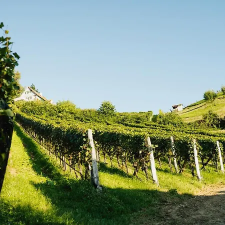 Bauernhof Winzerhof Strablegg *
