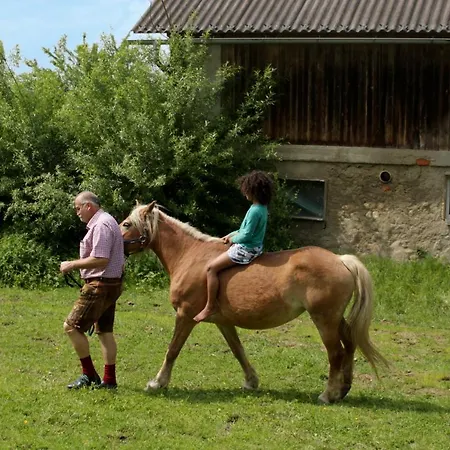 Winzerhof Strablegg *