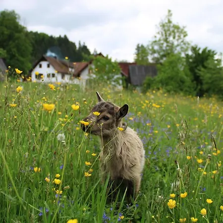 팜스테이 Winzerhof Strablegg