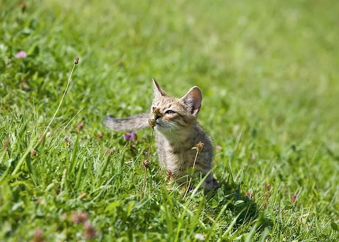 Winzerhof Strablegg * Großklein