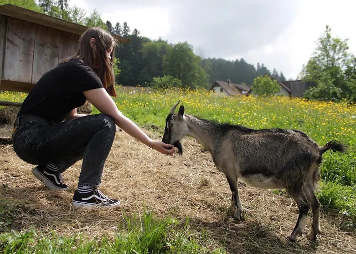 Bauernhof Winzerhof Strablegg *