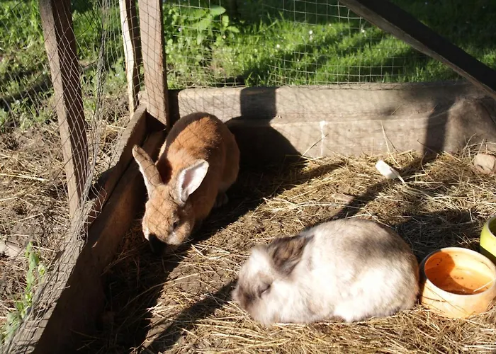 Winzerhof Strablegg Großklein