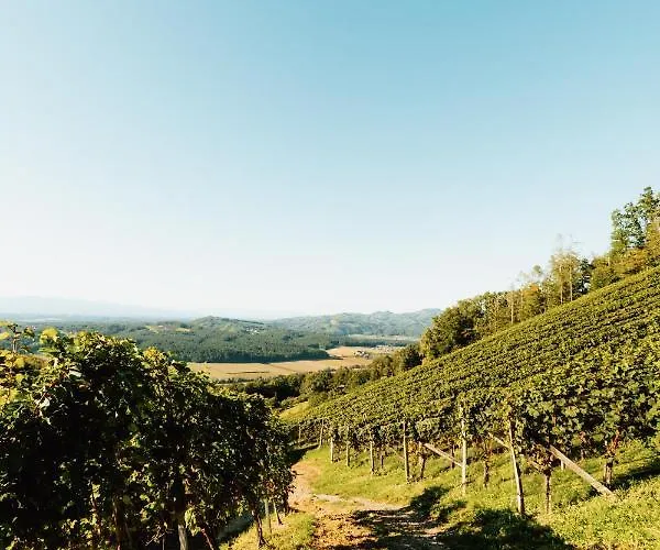 Vakantieboerderij Winzerhof Strablegg Großklein