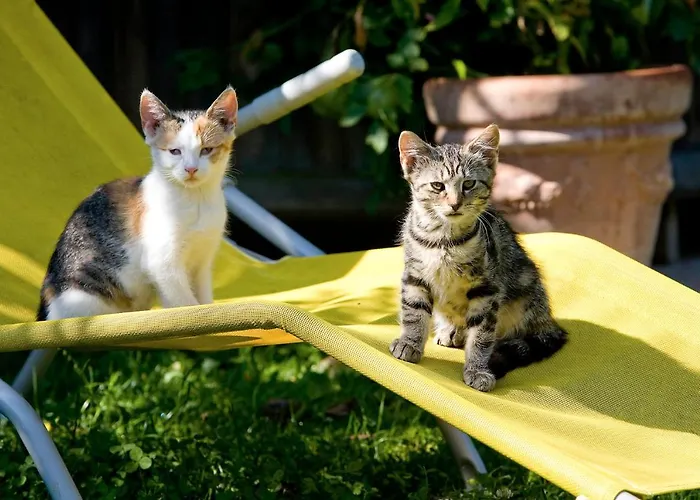 Bauernhof Winzerhof Strablegg *