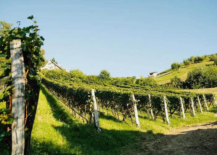 Bauernhof Winzerhof Strablegg *