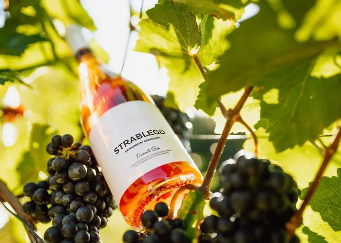 Winzerhof Strablegg Bauernhof