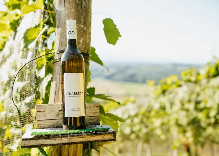 Bauernhof Winzerhof Strablegg *
